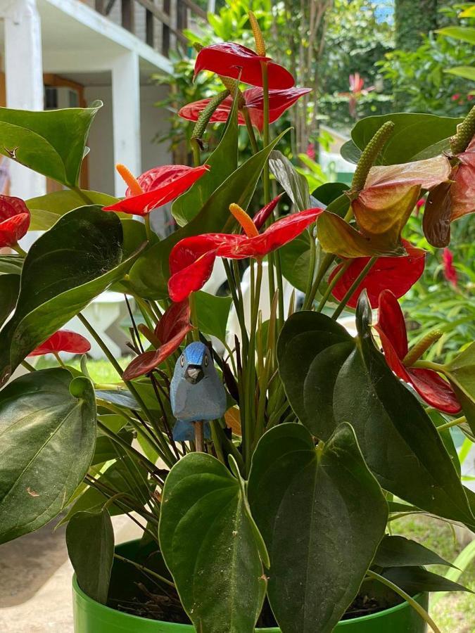 Bahia Mar Pousada Porto Seguro Kültér fotó