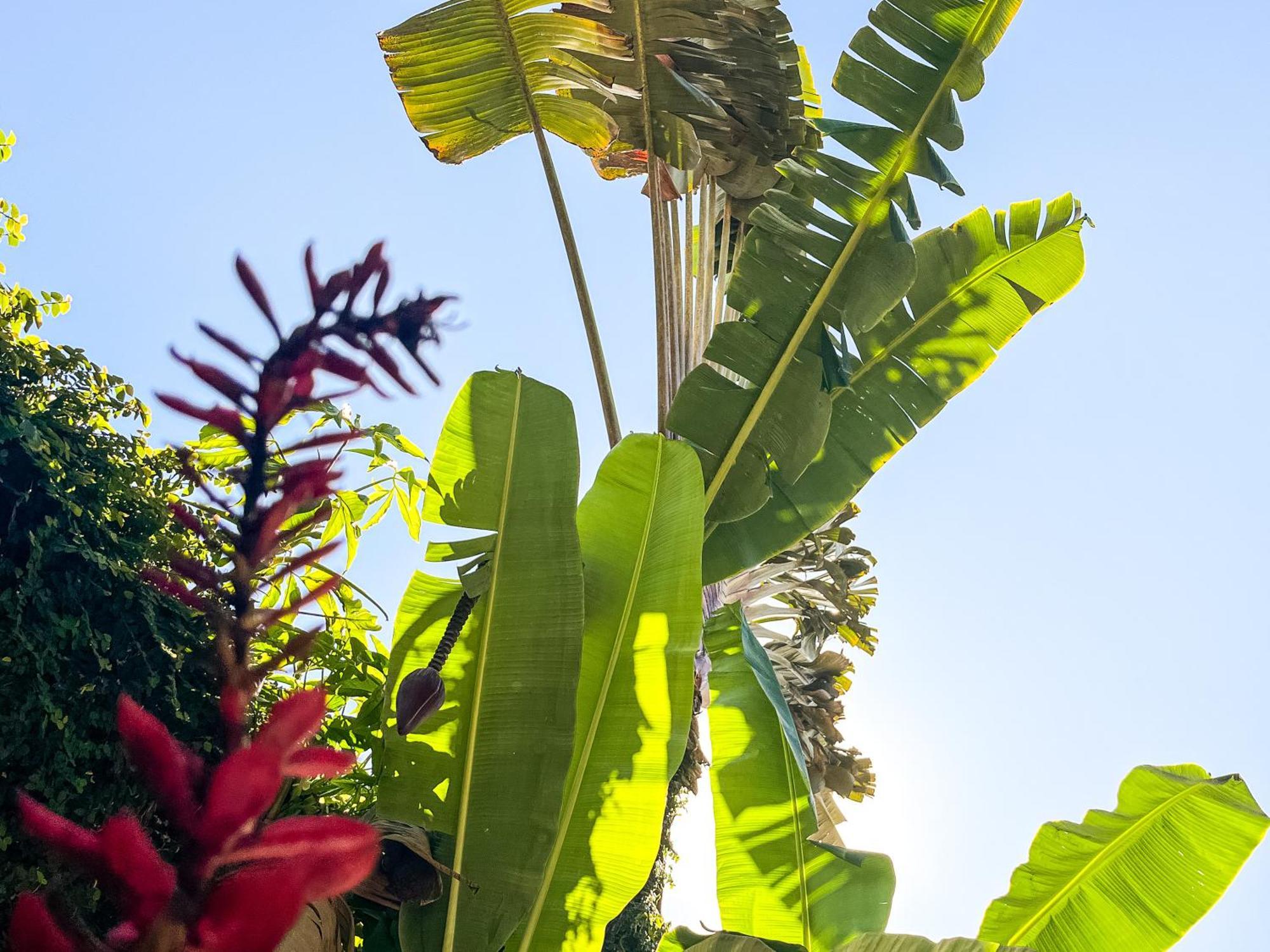 Bahia Mar Pousada Hotel Porto Seguro Kültér fotó